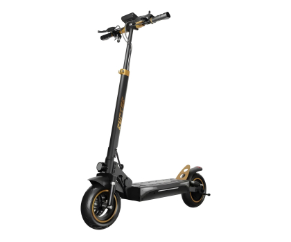 Hulajnoga elektryczna RUPTOR R1 Lite V2 Miedziany
